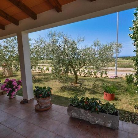 Angela Διαμέρισμα Novigrad Istria Εξωτερικό φωτογραφία