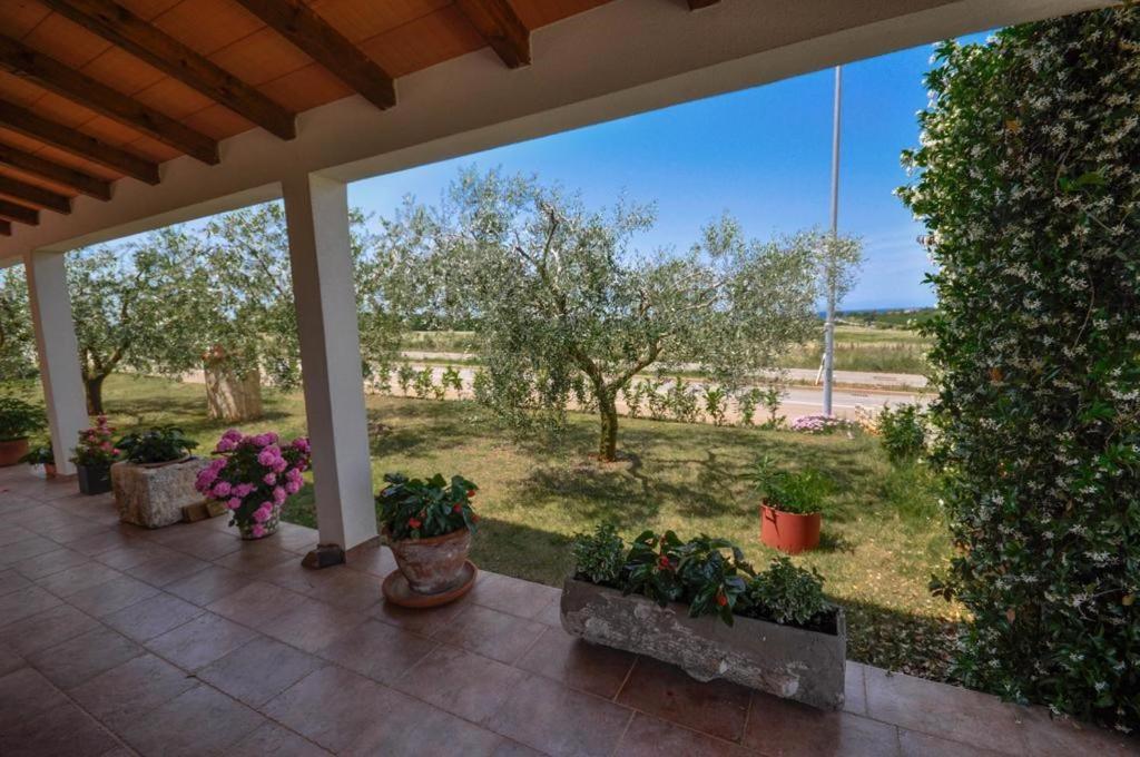 Angela Διαμέρισμα Novigrad Istria Εξωτερικό φωτογραφία