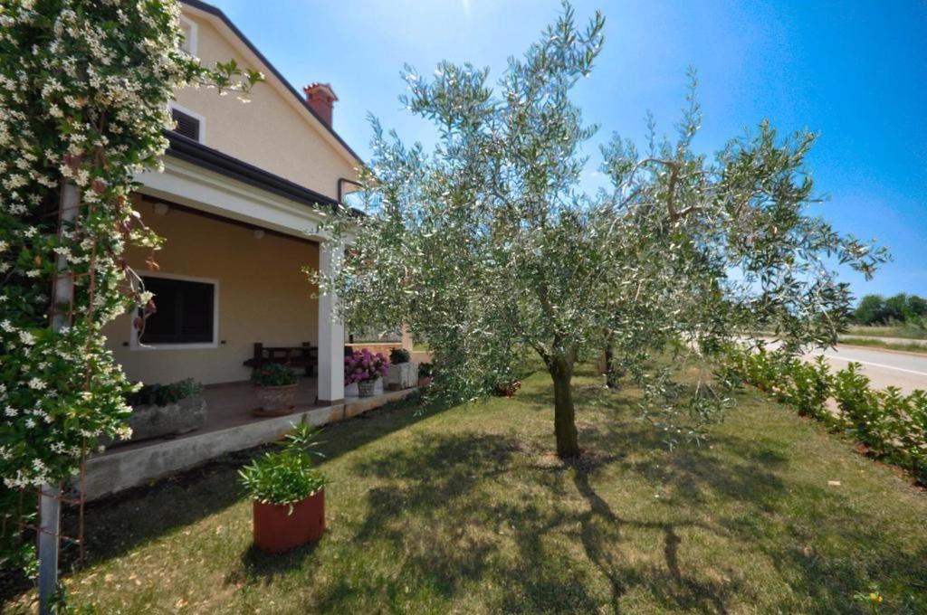 Angela Διαμέρισμα Novigrad Istria Εξωτερικό φωτογραφία